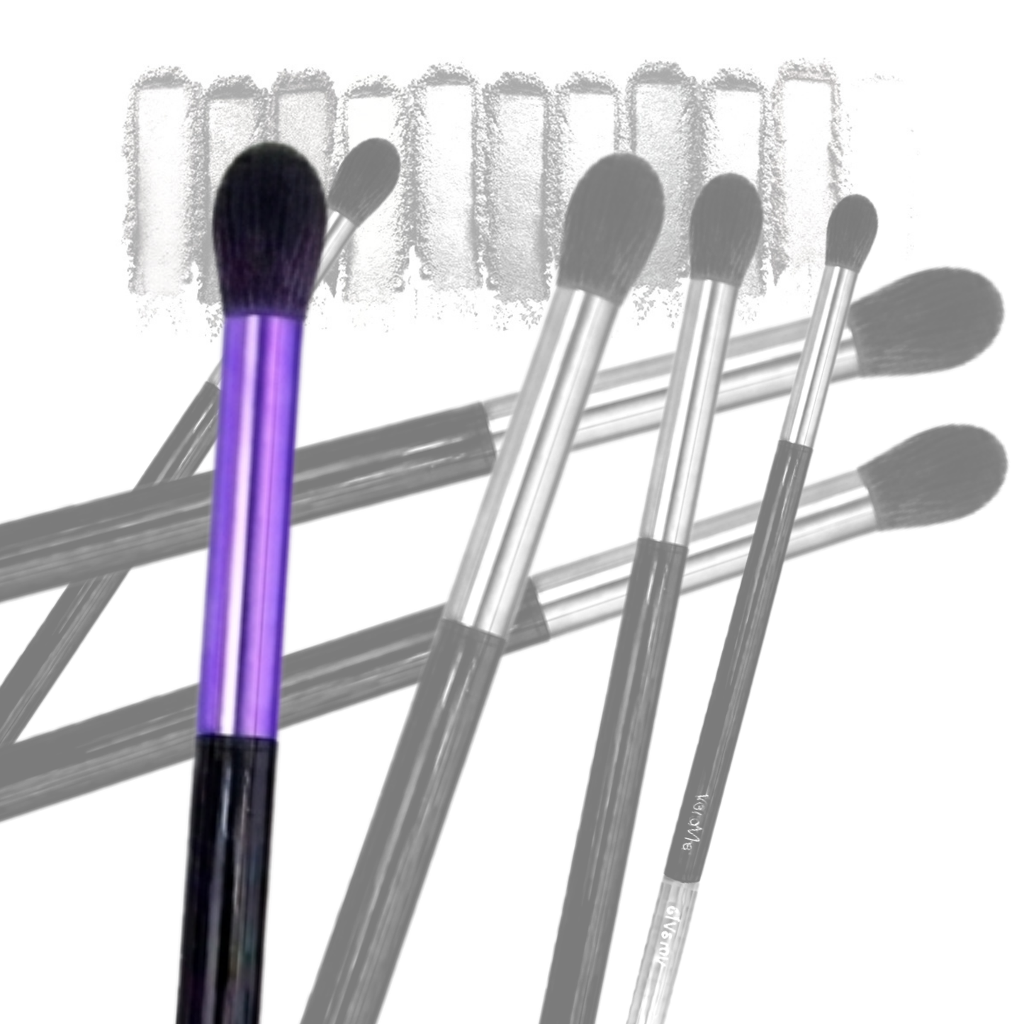 transparent overlay design of multiple veraVia professional vegan eye makeup brushes