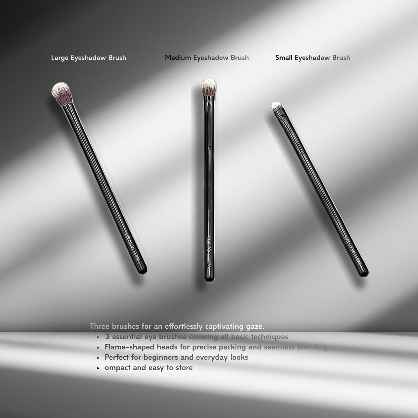 veraVia EyeEssence 3 piece eye makeup brush set infographic with labeled names on premium shadow background